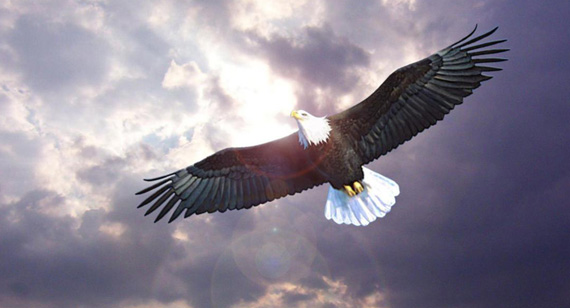 FUN88·乐天堂(中国游)官方网站