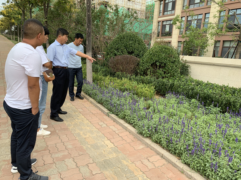 20.园林公司赴威？？？？？？疾煲计纺仙较钅.jpg